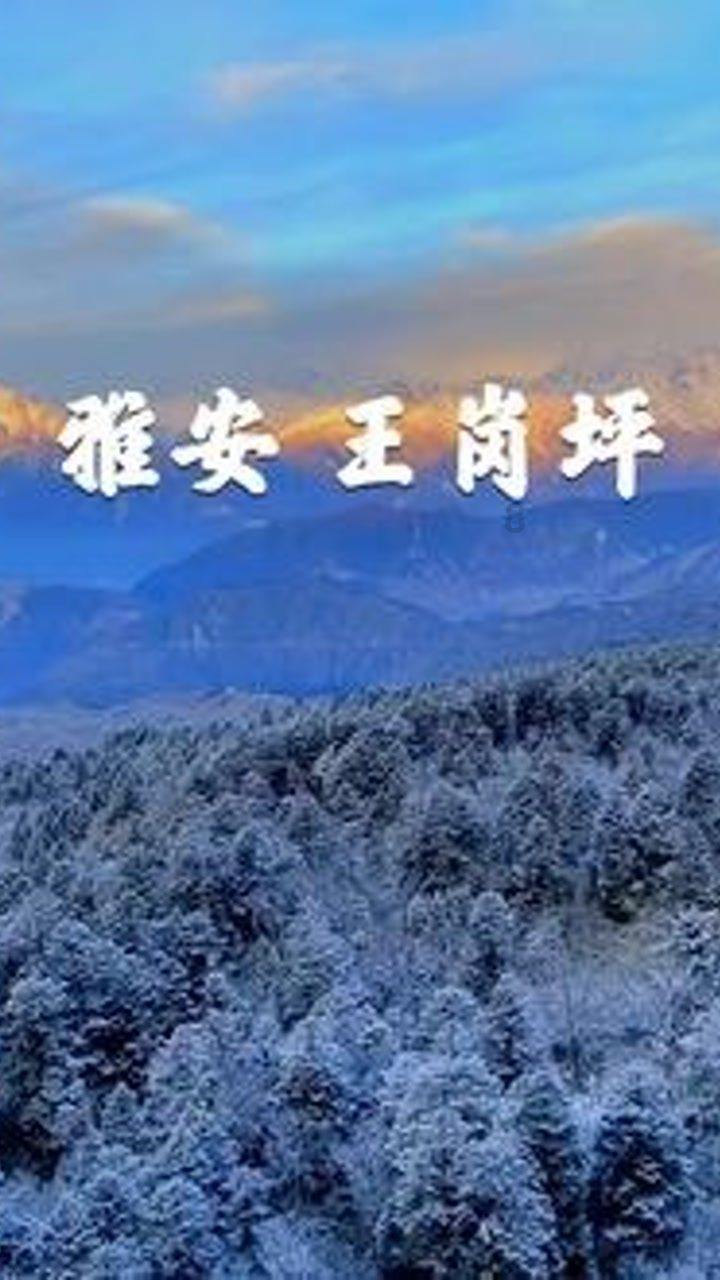 狂暴重装机甲3